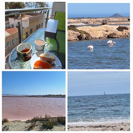 Nice Apartment With Terrace On The Los Locos Beach Torrevieja Eksteriør bilde